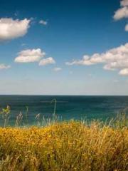 The Sovereign of the The Sovereign of the