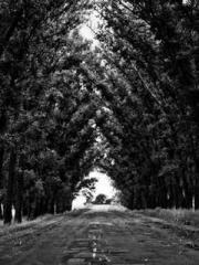 Lin Feng Lin Yun Yao Lin Feng Lin Yun Yao