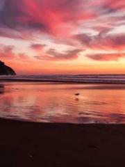 Ling Hao Qin Yuxin R Ling Hao Qin Yuxin R