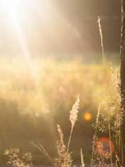 The Realm of the Dao