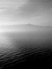 The Stand-in Wife Wa The Stand-in Wife Wa