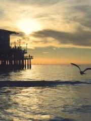 Asking the Immortal Asking the Immortal