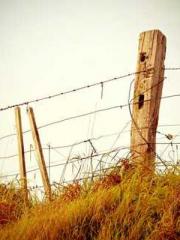 The generalapos;s yo