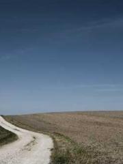 Free reading of Ling Free reading of Ling