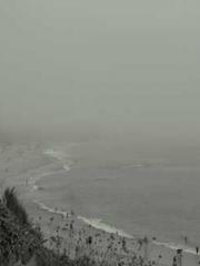 Becoming a solitary Becoming a solitary