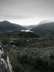 One Night of Indulge