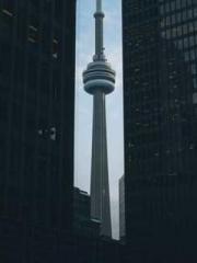 The Legend of the Dr