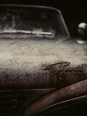 lt;detectivegt; in t lt;detectivegt; in t