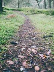 The Imperial Concubi The Imperial Concubi