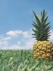 Home-to-door son-in- Home-to-door son-in-