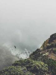 Eternal Sword Ancest