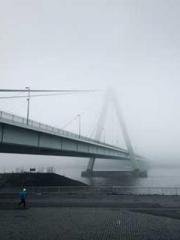 Transmigration: Feel