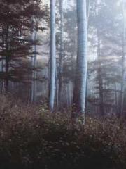 Lu Zongapos;s Hidden