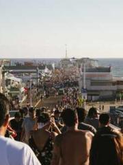 Supreme of the Nine Supreme of the Nine