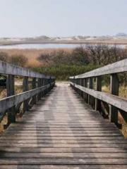 The Fierce Empress: The Fierce Empress: