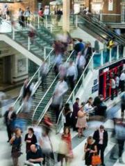 The Apothecaryapos;s