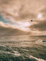 The Heavenly Physici