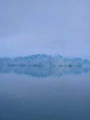 The Substitute Wife The Substitute Wife