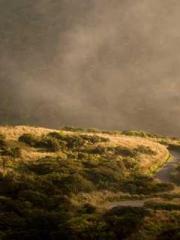 Lin Feng Lin Yun Yao Lin Feng Lin Yun Yao