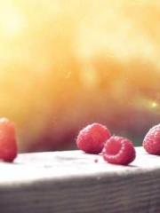 lt;lt;The Trash Husb