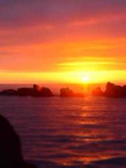 Love Before Marriage Love Before Marriage