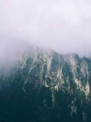 The Stand-in Wife Wa