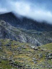 A Lifetime of Captiv