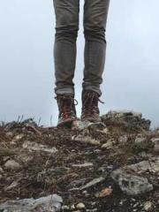 The Little Fox Spiri