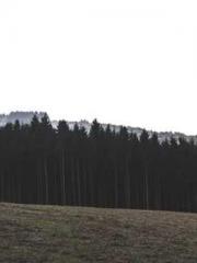 The Exclusive Daught