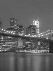 The Apothecaryapos;s