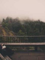 The Exclusive Daught