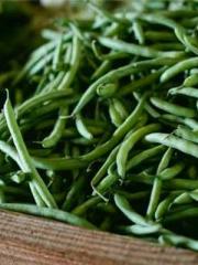 lt;Jingyuan Rong Sha