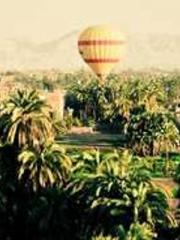 The Poisonous Doctor