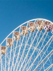 One Night of Indulge