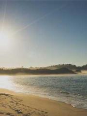 lt;Marry at first si lt;Marry at first si