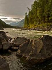 Peninsula Asteroid l