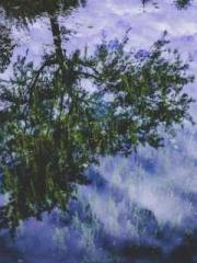 lt;Heavenly Fire Dyn lt;Heavenly Fire Dyn