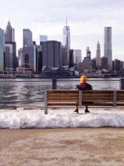 lt;lt; The Divine Do