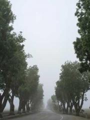 lt;lustful auntgt; lt;lustful auntgt;