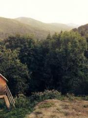 Shen Ning Ran Bao Ji